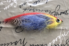 Streamer NGD by G. Masetti