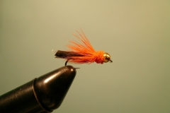 Fly Sample