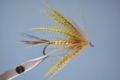 Fly Sample