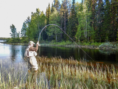Fly_Fishing