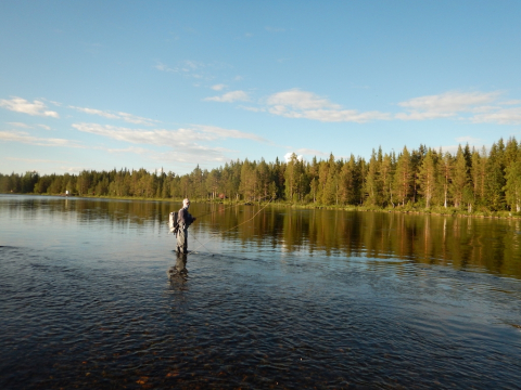 Fly_Fishing