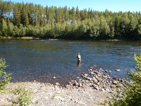 Fly_Fishing