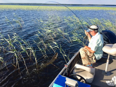 Fly_Fishing