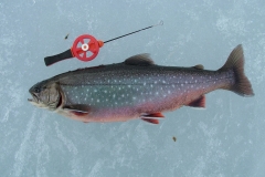 Ice Fishing