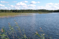 Spin Fishing