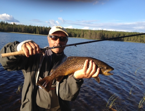 Tenkara – Una Nuova Esperienza!