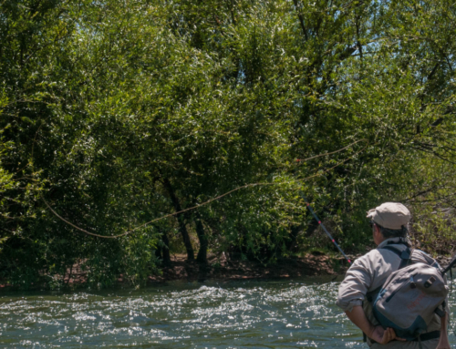 Articolo Redazione:  Tenkara Patagonia – Esperimenti Tecnica Dry PL