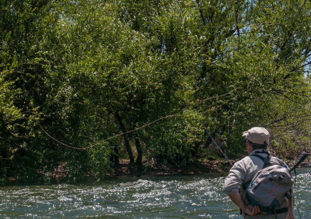 Article: Tenkara Patagonia - Dry PL Technique Experiments - Advanced Fly  Casting School