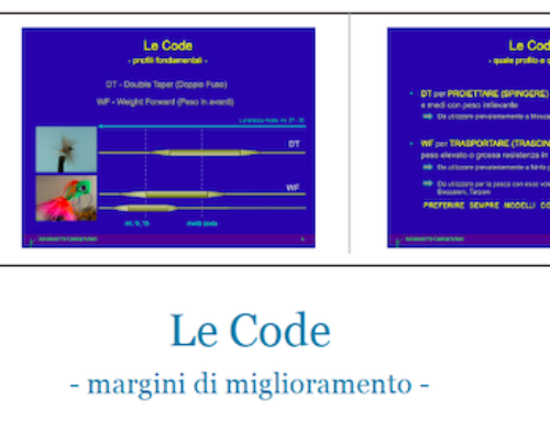 Blog Discussione – Le CODE – Margini di Miglioramento